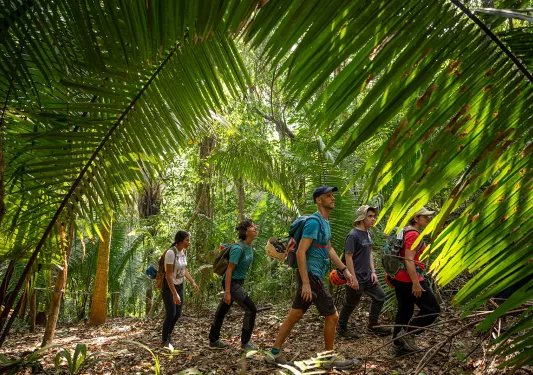 Group of hikers walking through a forest