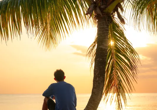 Man sitting on slanted tree looking at the ocean and sunset
