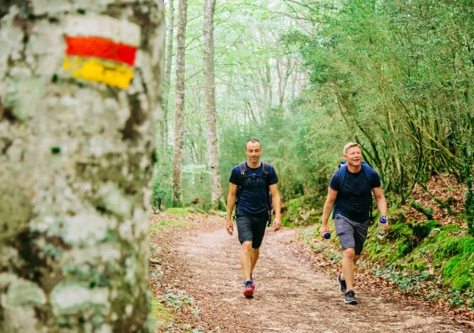 Two men hiking on a dirt trail, with a tree with a flag painted on it