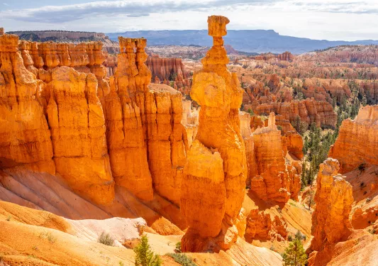 Large, separated canyons in a valley of orange canyons