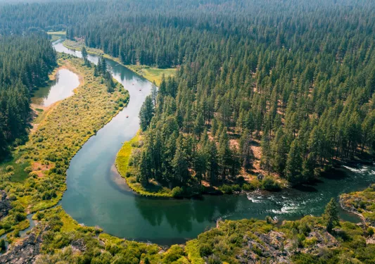 U-shaped river surrounded by pine trees and grass valleys