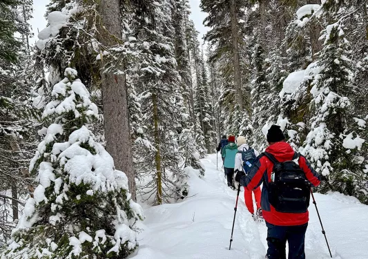Group of people walking through a snow-covered forest