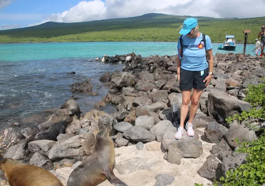 Hikers on rocky ground
