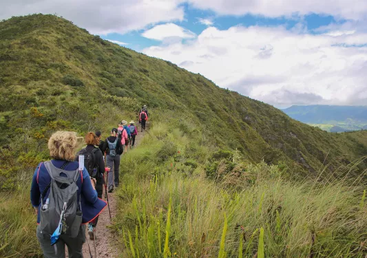 Hikers walking along a grassy path