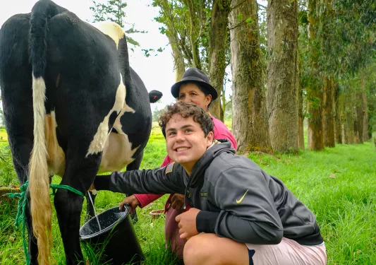 Two people milking a cow