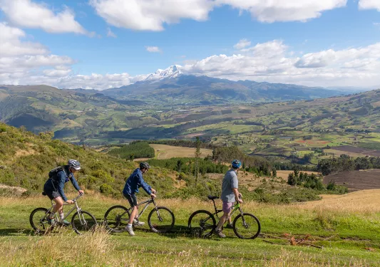 Bikers cycling through a grassy field