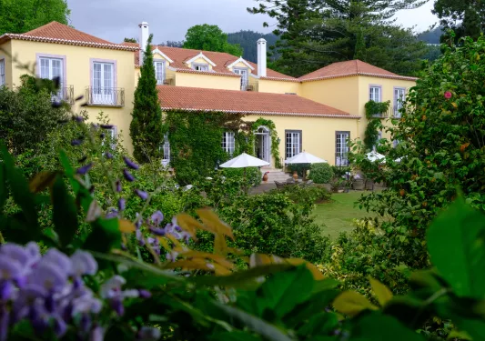 Hotel building surrounded by bushes and plants
