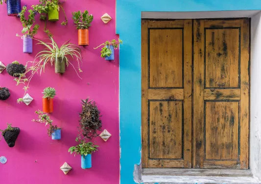Pink and blue building with a wooden door on the right, and plants on the left