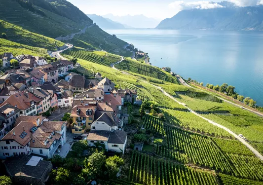 Small town of houses surrounded by crop fields next to a lake