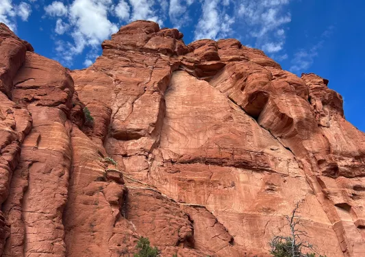 Tall orange canyons with green trees on the ground level