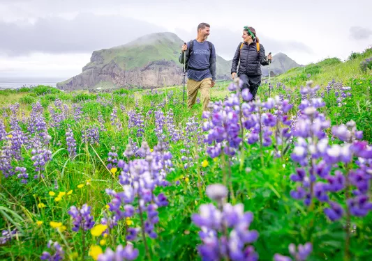 Man and woman walking through a grassy field full of purple flowers