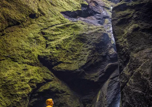 Person in a yellow jacket standing on a rock, looking up to a large cliff