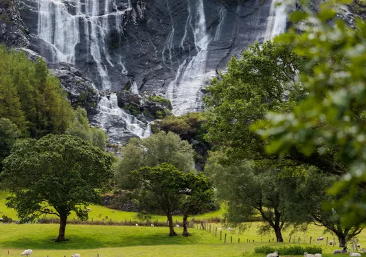 Open field full of sheep, with a large black and white cliff in the background