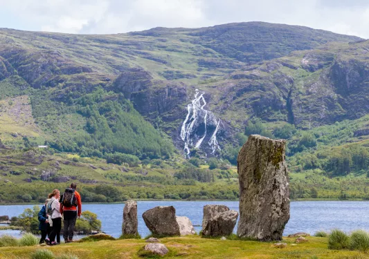 Group of people walking next to a lake with large tree stumps on the right