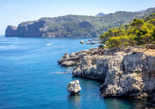Cliff covered in trees by the ocean