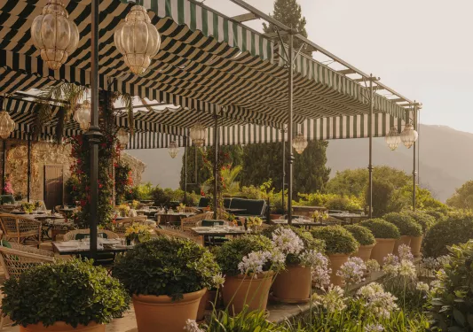 Outdoor patio with tables and chairs, surrounded by large pots of plants