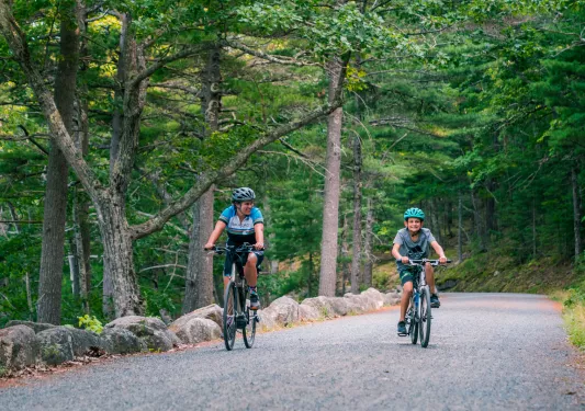 Two people riding bikes on a gravel road in the middle of a forest