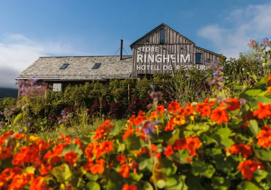 Exterior view of brick building with orange flowers in the front