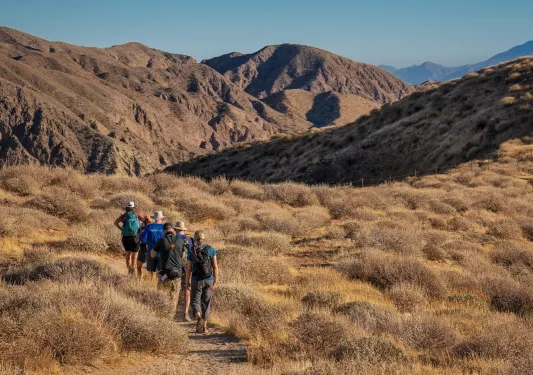 Group of hikers walking through a dirt trail, surrounded by dried weeds