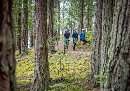 Two women and one man walking in the middle of a forest