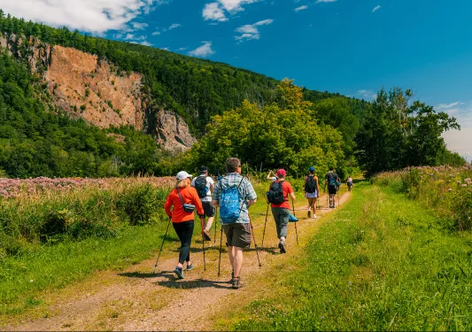 Group of people with walking poles on a gravel trail, surrounded by green trees
