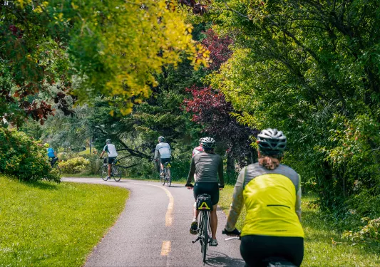 The back of a row of bikers cycling down a street