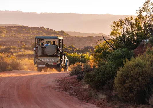 A jeep drives down a dusty road