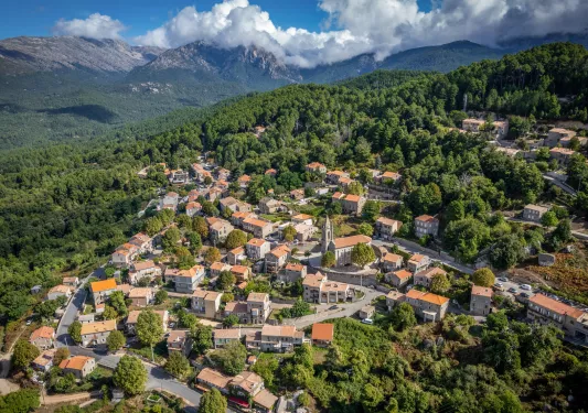 Sky view of a small town surrounded by tall trees and mountains