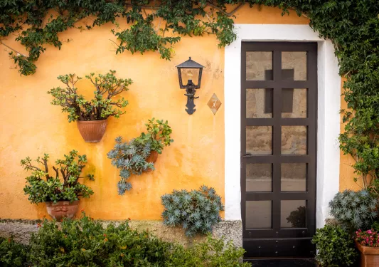 Exterior view of a yellow building 's entrance, with pots with plants on the left