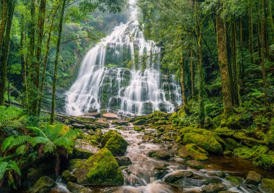 Waterfall in a green forest