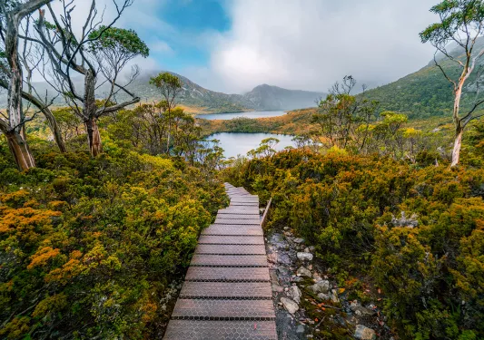 Wooden pathway leading to a lake