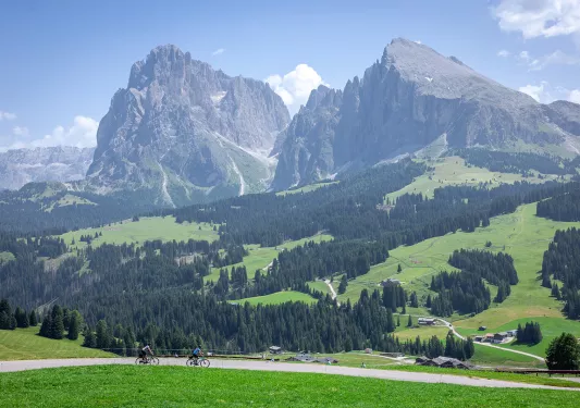 Large mountains with valleys of grass and trees on the ground level