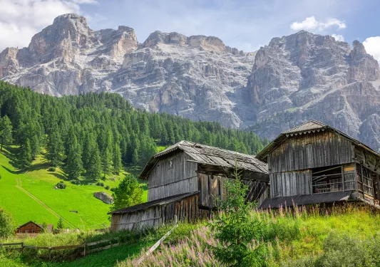 Two wooden cabins in the middle of a grass valley, with tall trees and mountains in the background