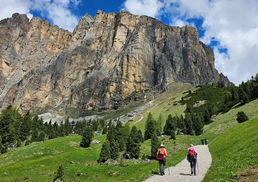 Hikers walking a path towards mountain range
