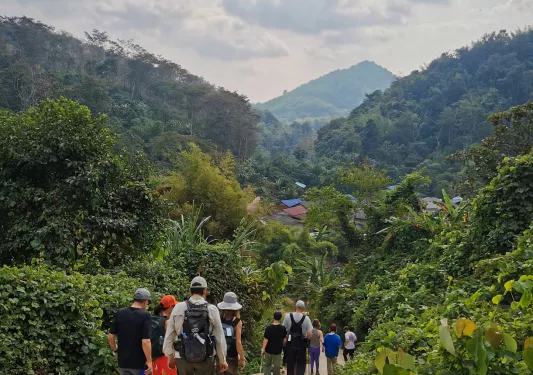 Group of people walking on a dirt trail surrounded by large plants and bushes