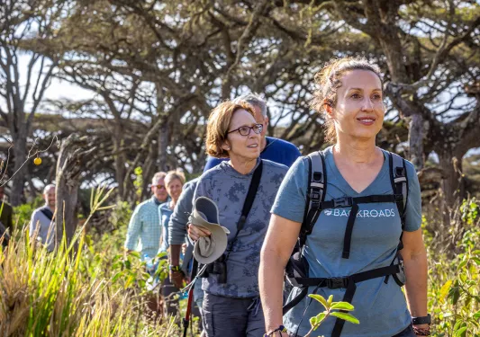 Backroads guests hiking