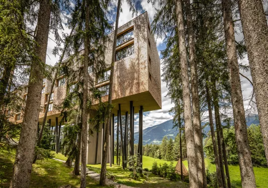 Suspended building in the middle of a grassy valley, surrounded by tall trees