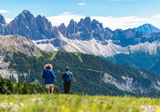 Two people with walking poles descending a grassy hill
