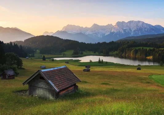 Wooden chicken coops on a grassy hillside