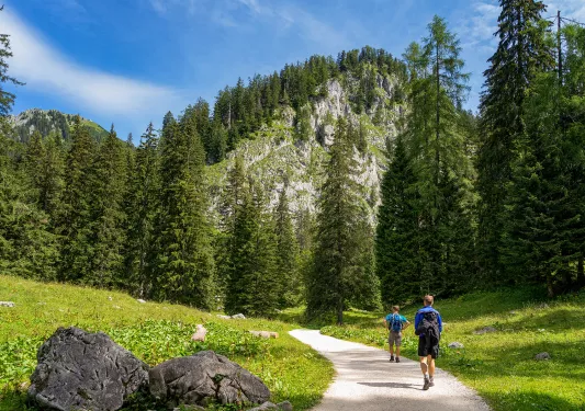 hikers on a forest path