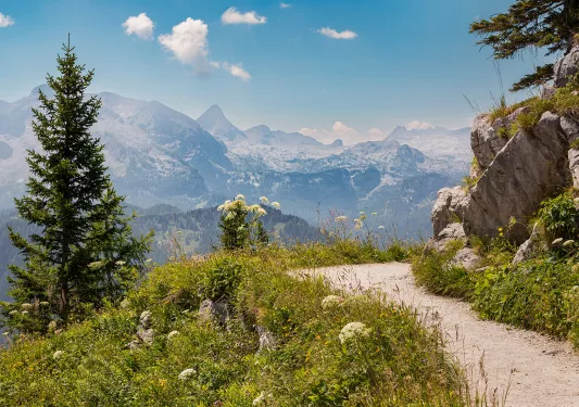 a hiking path winds through meadows