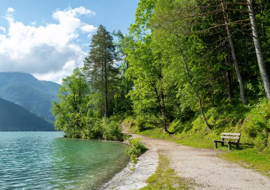 Gravel and dirt road with a bench to the right, next to a lake