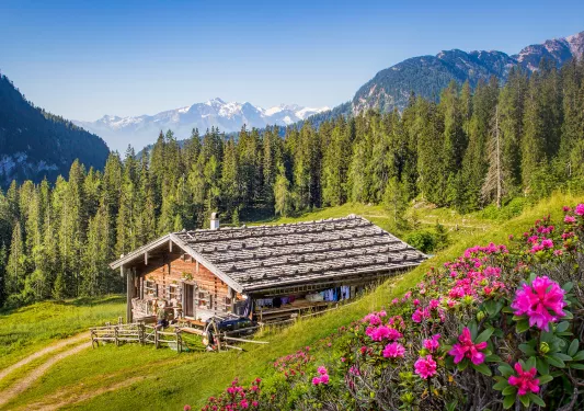 a wood house nestled in green hills