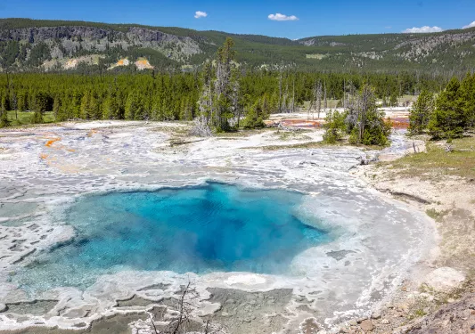 Salt-covered lake in the middle of a valley of trees