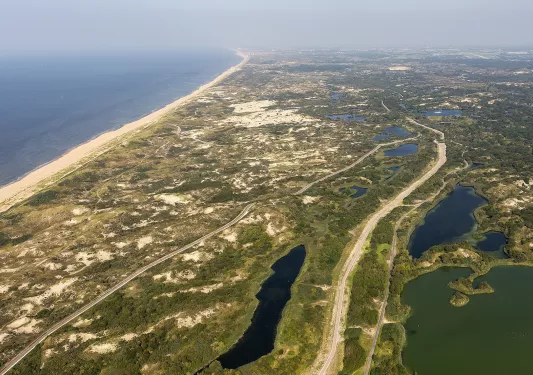 Sky view of forest and gravel trails