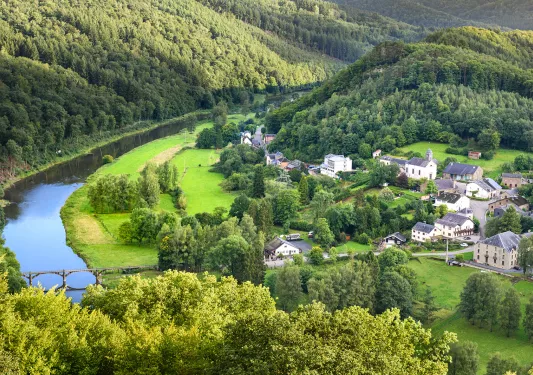Town full of green trees and grass