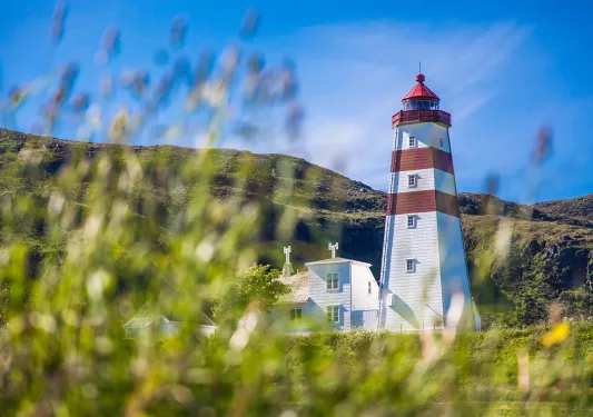 Red and white lighthouse surrounded by a grassy field