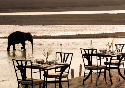 Balcony with dining tables, next to a large body of water with an elephant walking in the water