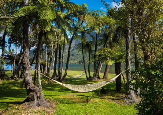 Two hammocks on tall, tropical trees next to a lake