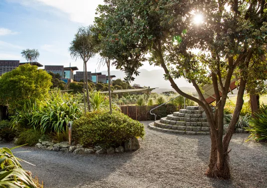 Small gravel pathway with large plants and stone stairways